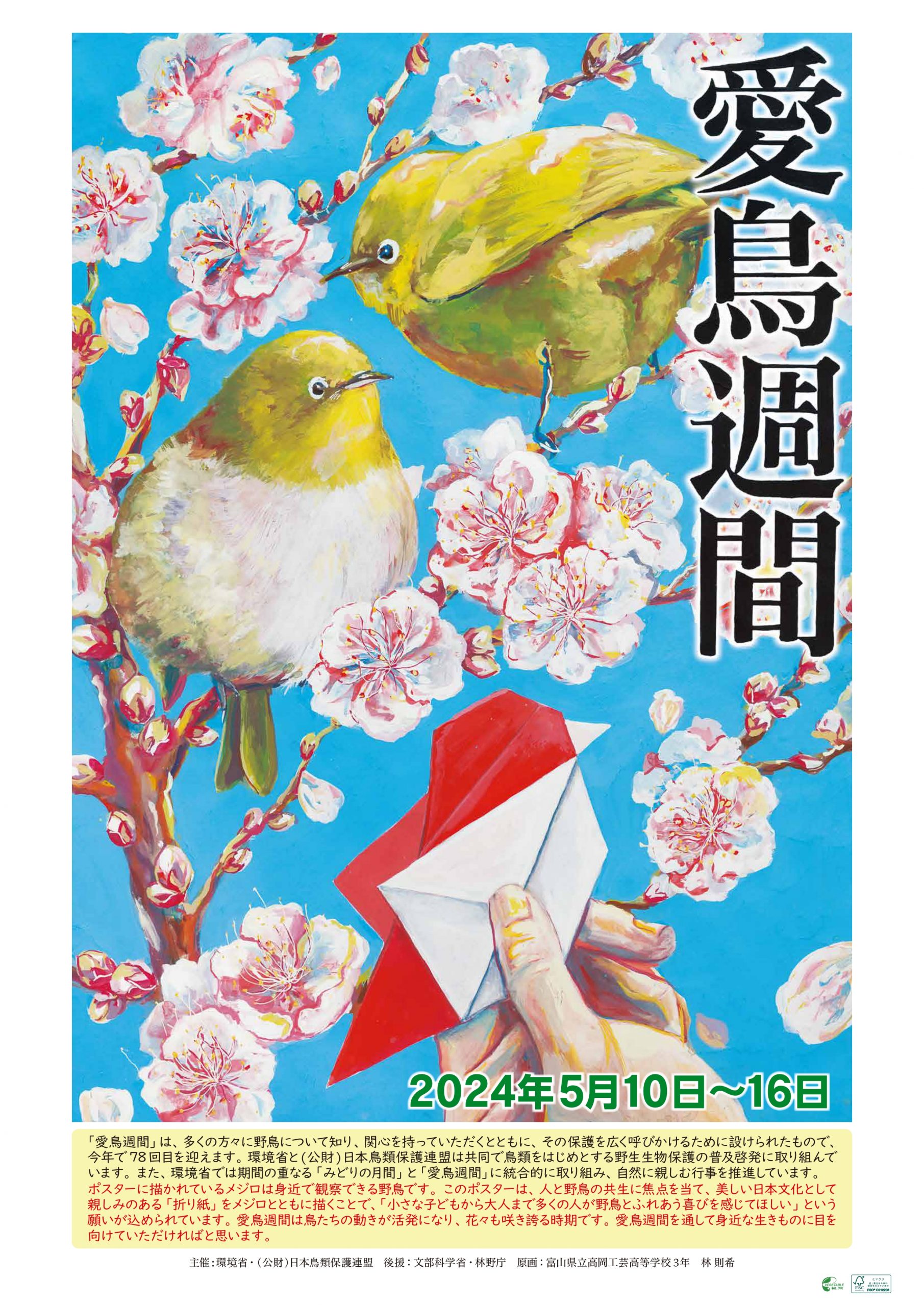 活動歴および当時の関連ビジュアル記録