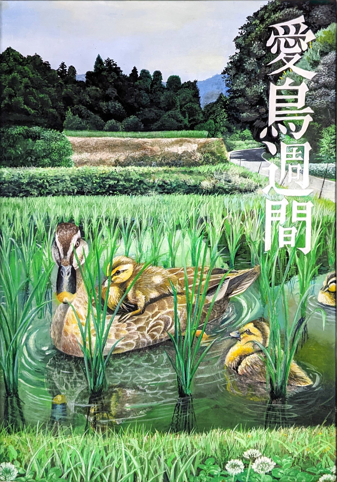 活動歴および当時の関連ビジュアル記録