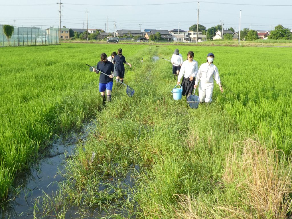 佐屋高校