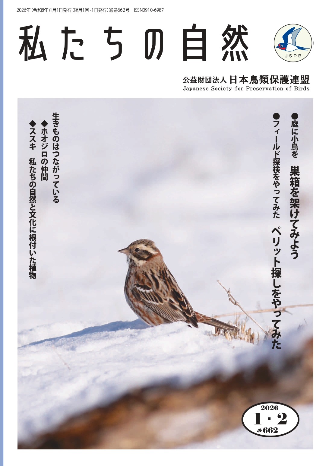 翼が無い鳥。自由を求めて。 機関誌『私たちの自然』 - 公益財団法人 日本鳥類保護連盟