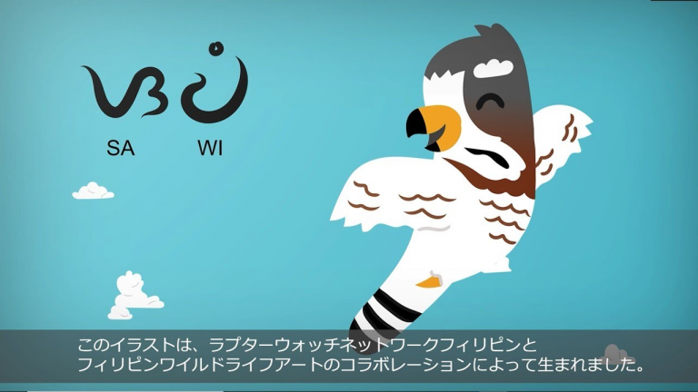 【国際協力事業】フィリピンにおけるサシバの保護活動