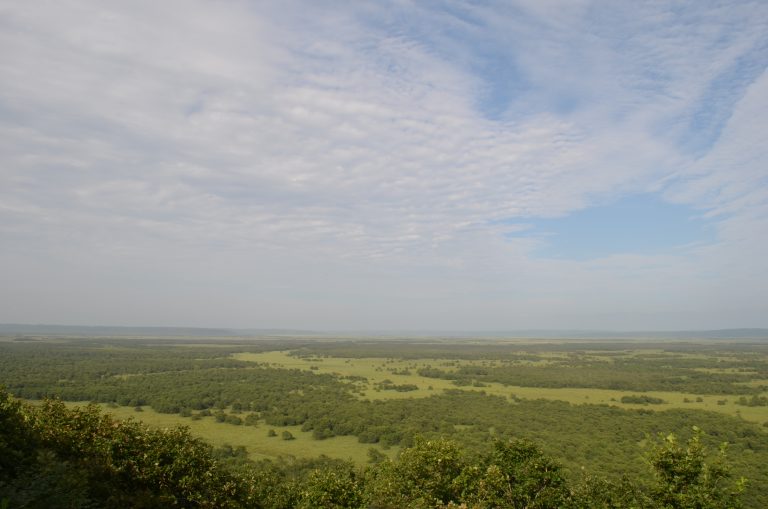 日本一大きな湿原　釧路湿原