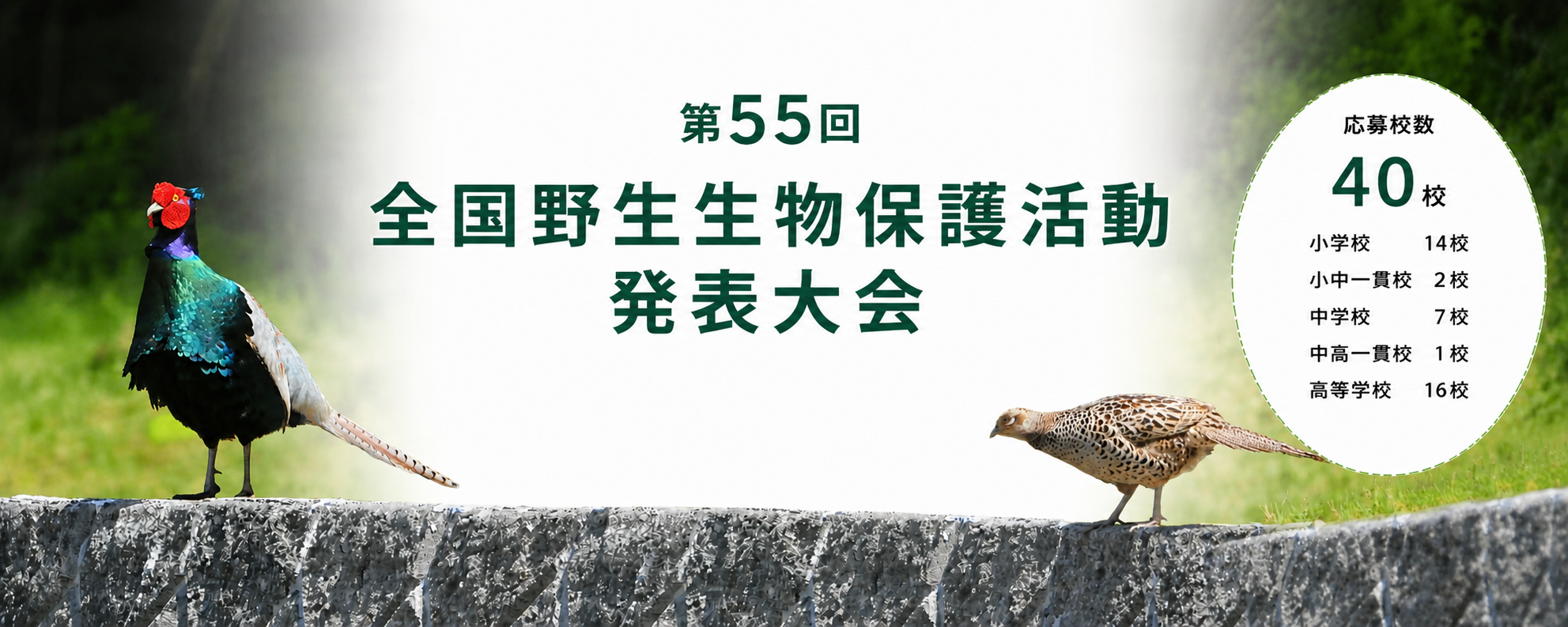 第55回