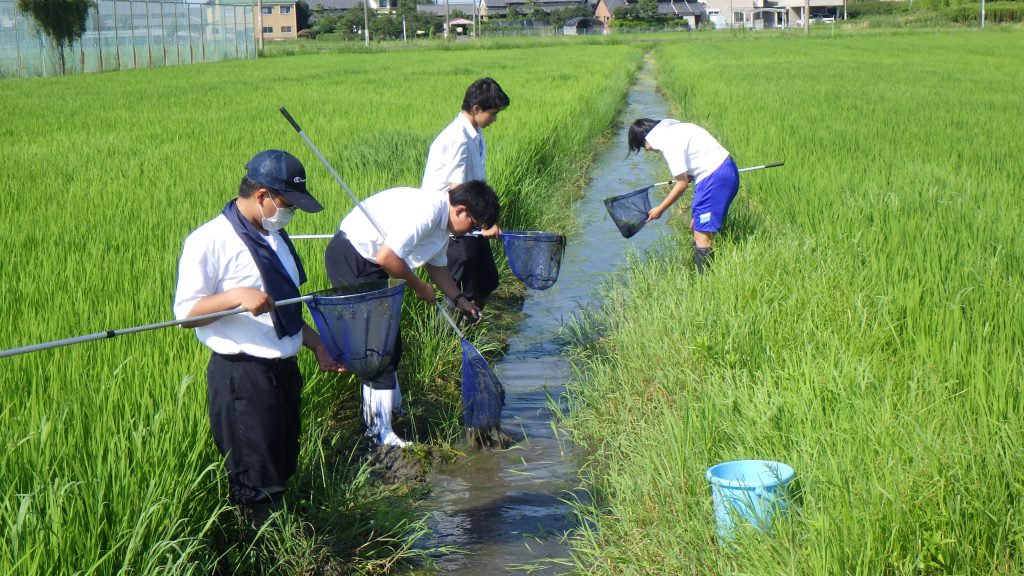 愛知県立佐屋高等学校