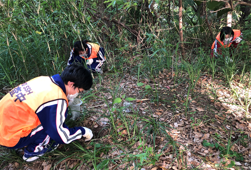 愛知県立明和高等学校