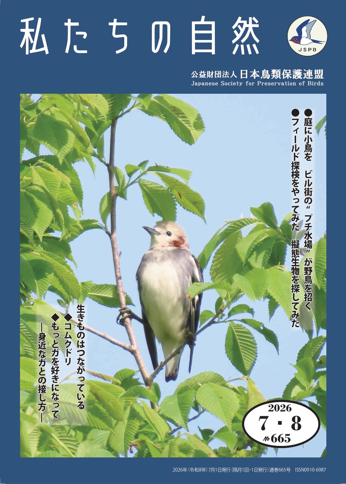 機関誌『私たちの自然』 - 公益財団法人 日本鳥類保護連盟