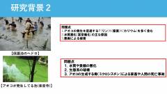 清風高校_page-0005