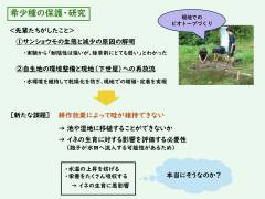 活動紹介の概要資料(宮津天橋)_page-0008