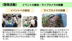 だるまがえるくらぶの活動_page-0005