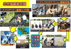 1.全国野生生物保護活動発表大会_活動紹介_page-0005