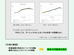 活動紹介の概要資料(宮津天橋)_page-0010