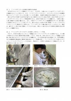 提出用 修正版_page-0005