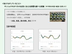 活動紹介の概要資料(宮津天橋)_page-0009