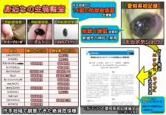 1.全国野生生物保護活動発表大会_活動紹介_page-0003