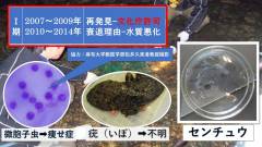 スライド14