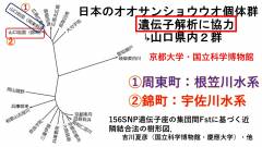 スライド15