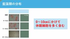 清風高校_page-0017