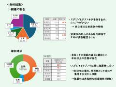 活動紹介の概要資料(宮津天橋)_page-0003