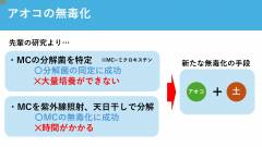 清風高校_page-0011