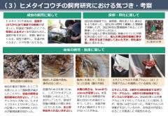 奈良女子大附属_page-0004