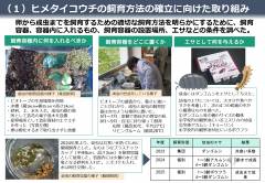 奈良女子大附属_page-0002