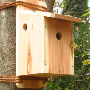 2つ穴巣箱~スズメ・カラ類用~