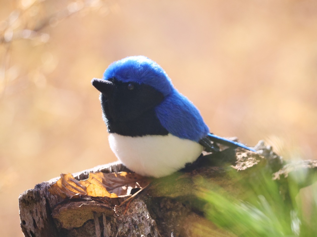 ぬいぐるみキーホルダー オオルリ