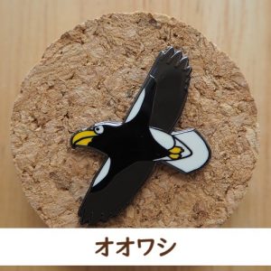 バードピンズ オオワシ