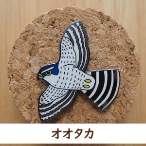 バードピンズ オオタカ