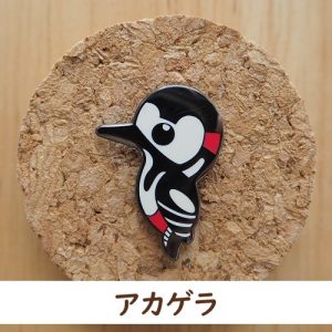 バードピンズ アカゲラ