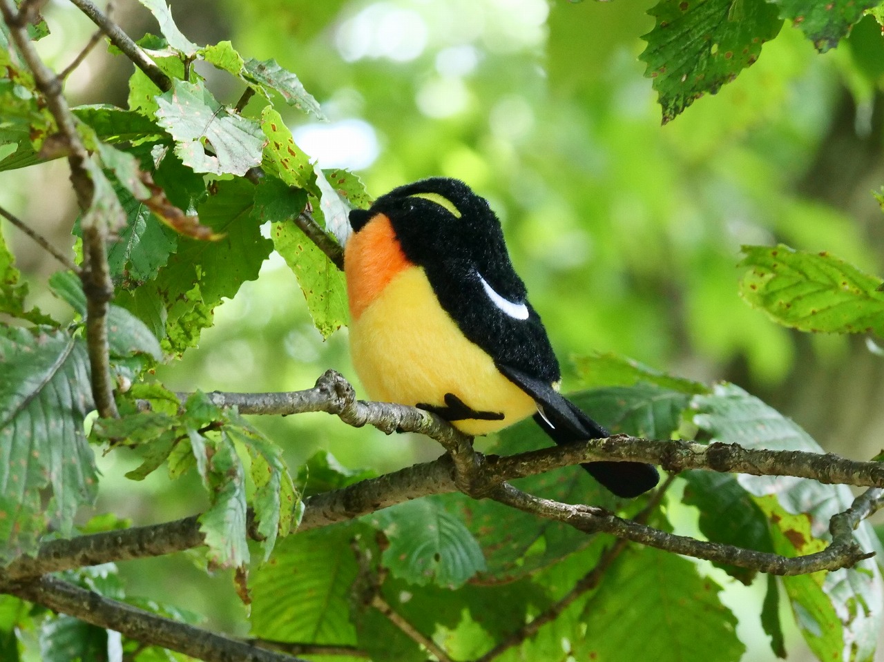 ぬいぐるみキーホルダー キビタキ