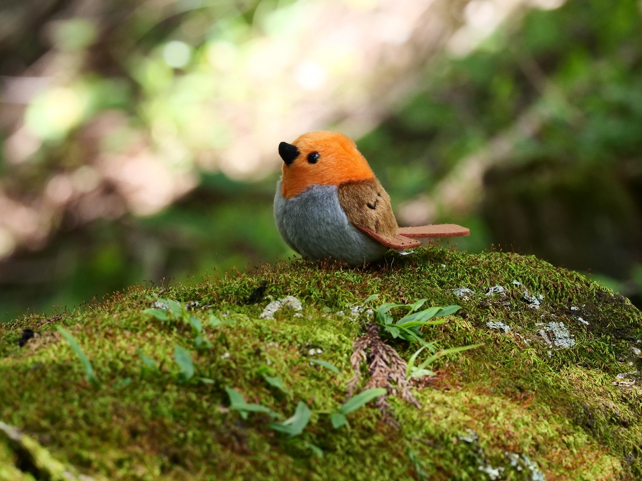 ぬいぐるみキーホルダー コマドリ