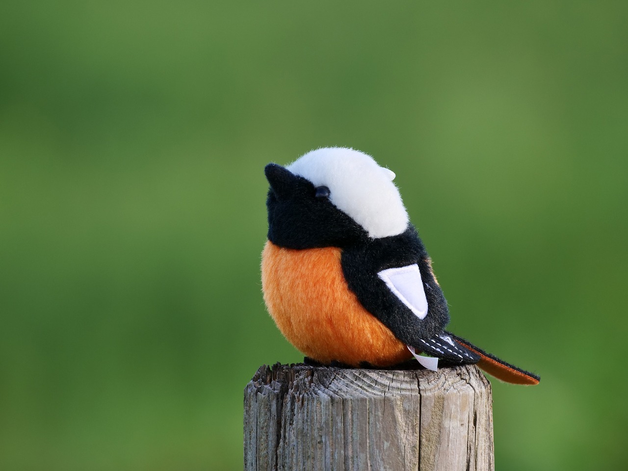 ぬいぐるみキーホルダー ジョウビタキ