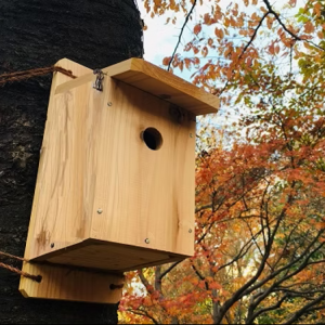 1つ穴巣箱~スズメ・カラ類用~