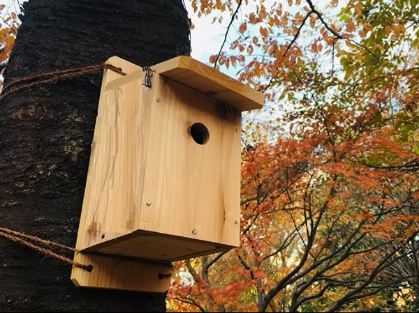1つ穴巣箱~スズメ・カラ類用~
