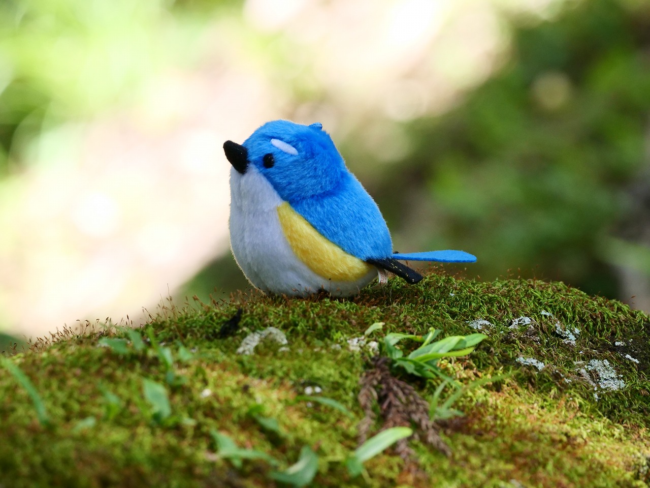 ぬいぐるみキーホルダー ルリビタキ