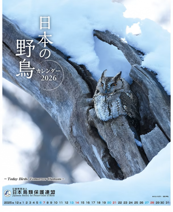 日本の野鳥カレンダー2026