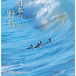 日本の野鳥カレンダー2027 (会員価格)