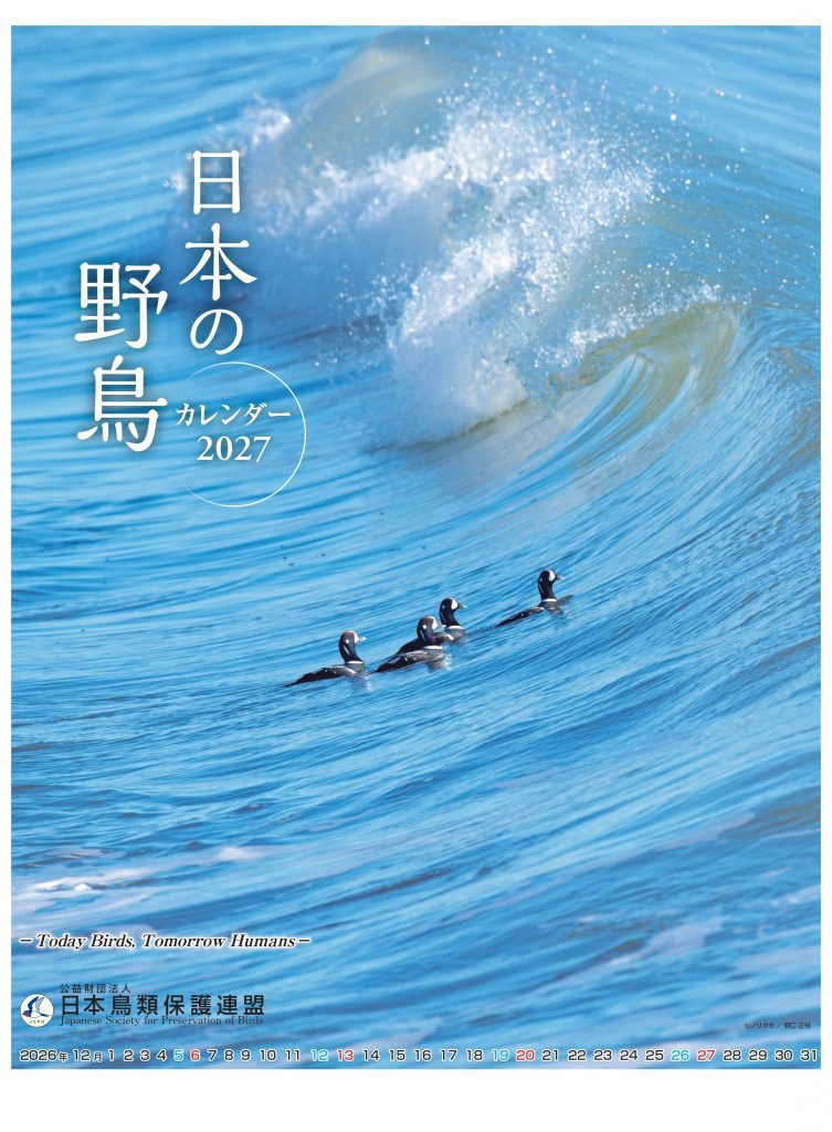 日本の野鳥カレンダー2027 (会員価格)