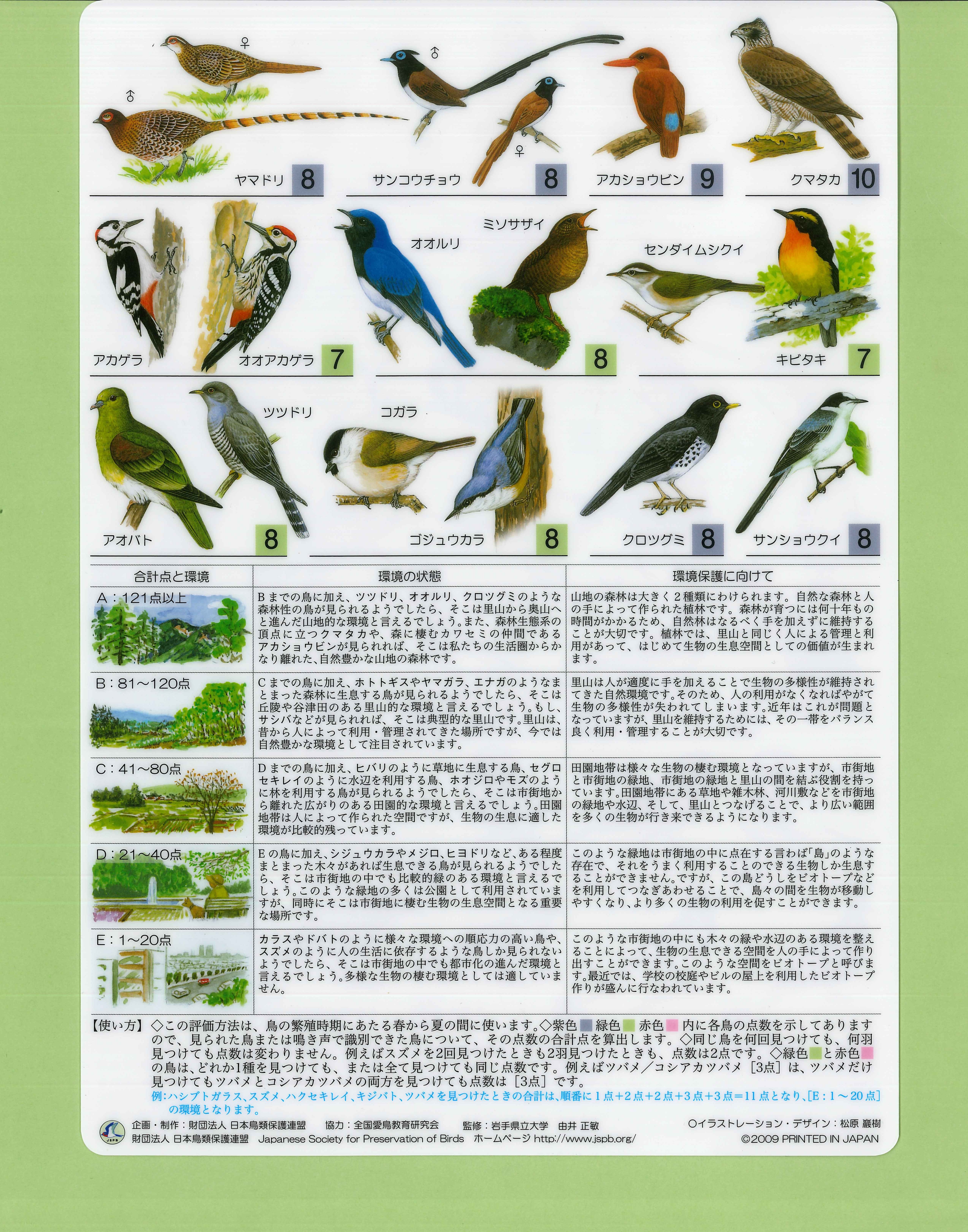 野鳥シート「~鳥から知る~ 環境ものさし」 - 画像 (2)