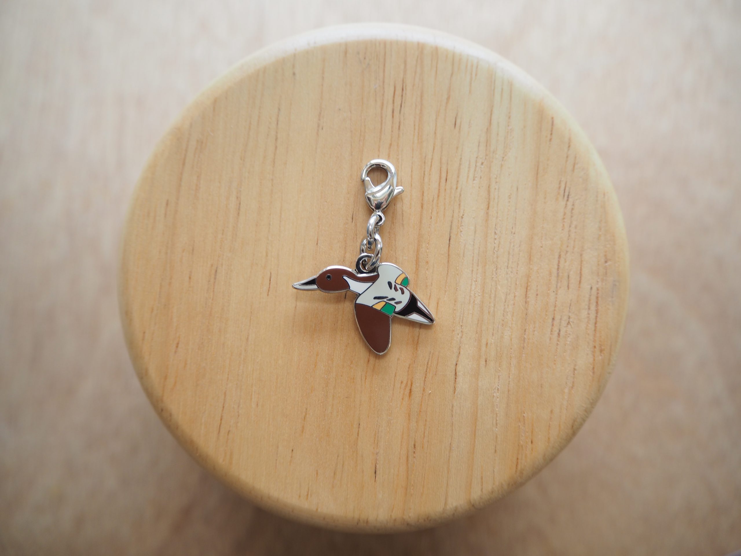 ファスナーマスコット オナガガモ