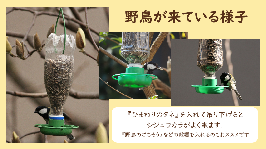 クオリス『野鳥のためのペットボトルフィーダー』 (会員価格) - 画像 (2)