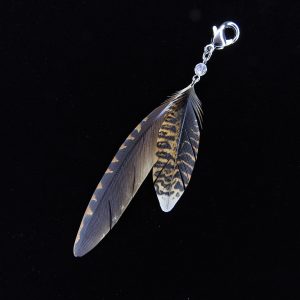 アマミヤマシギ　チャーム（尾羽・初列風切羽）