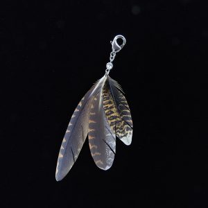 アマミヤマシギ　チャーム（尾羽・次列風切羽・初列風切羽）