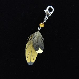 オオトラツグミ　チャーム（小・中）