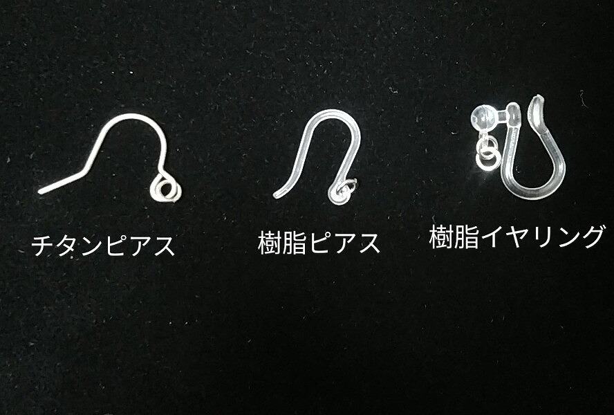 オオトラツグミ ピアス/イヤリング(小) - 画像 (3)